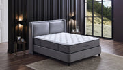 Box spring bed with “Ergocoil Infinity Pro” box spring mattress for back sleepers and side sleepers
