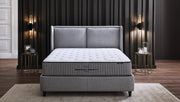 Box spring bed with “Ergocoil Infinity Pro” box spring mattress for back sleepers and side sleepers